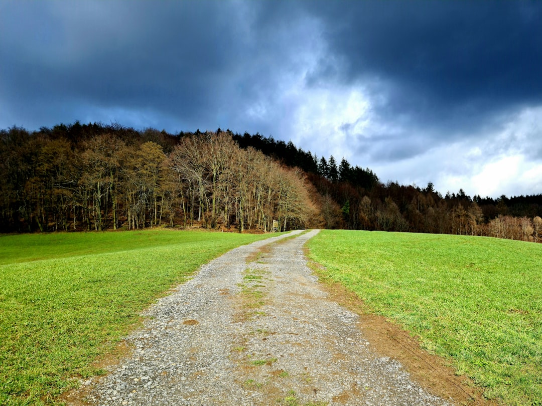 Digital path to recovery