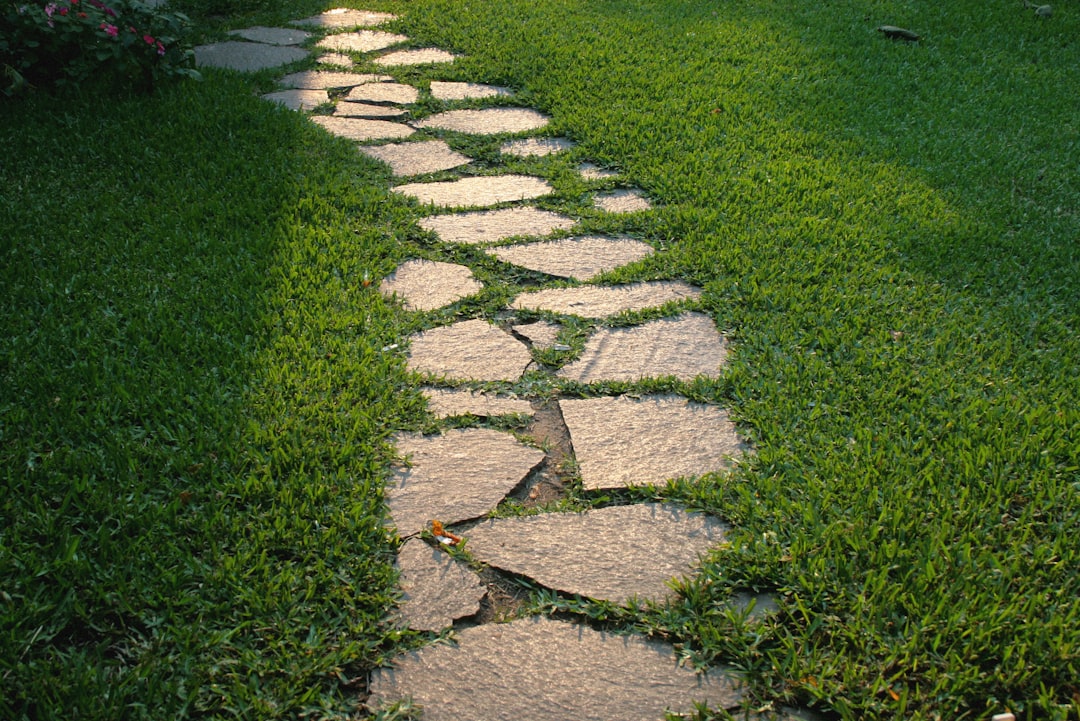 Abstract digital recovery pathway
