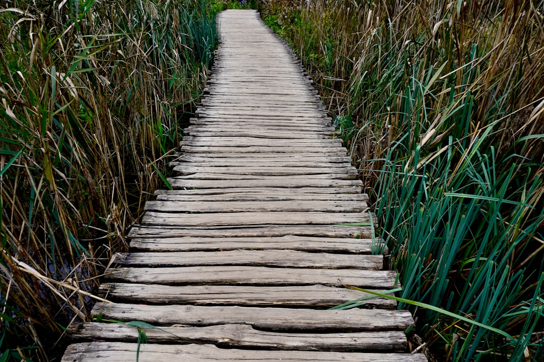 A visual representation of a digital pathway symbolizing addiction recovery with technological elements.